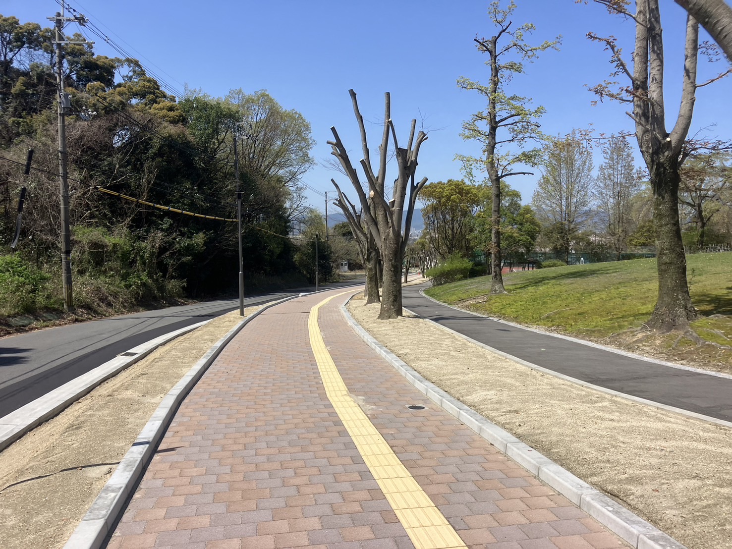 黄檗公園園路