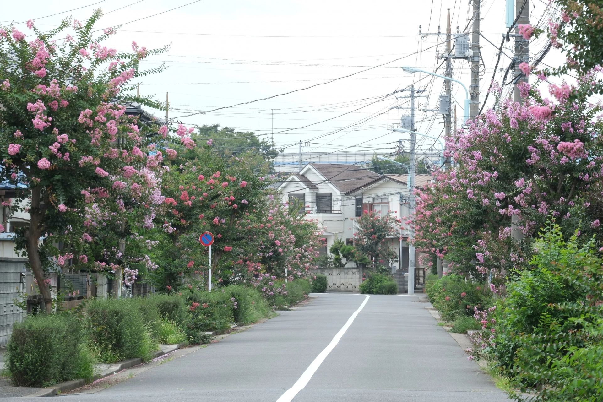 住宅街の街並み