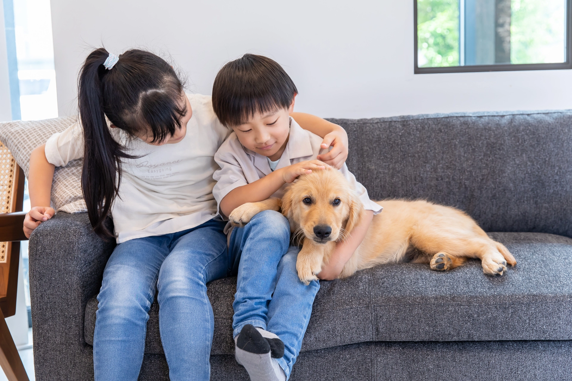 犬と人は友達