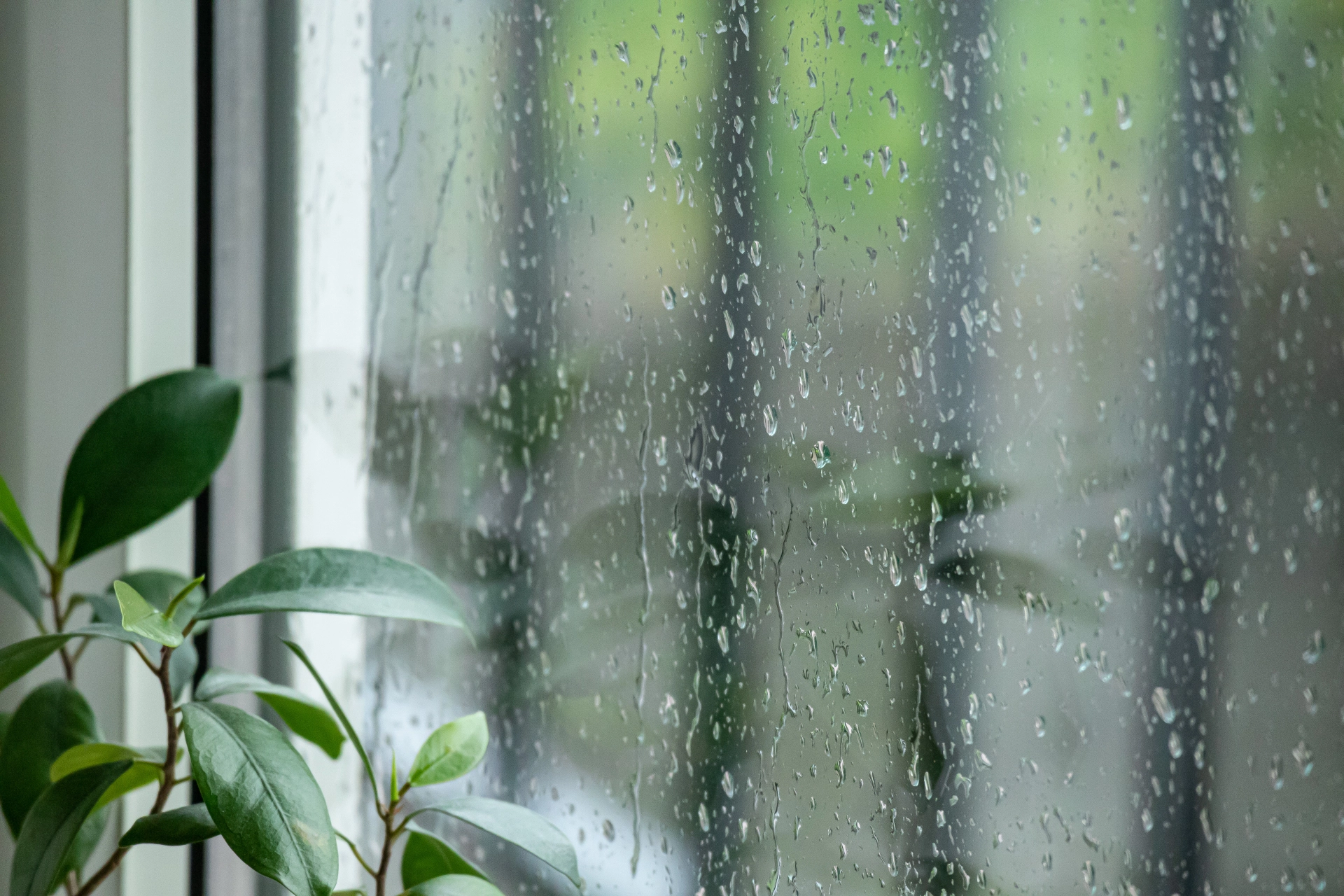 しとしと雨模様